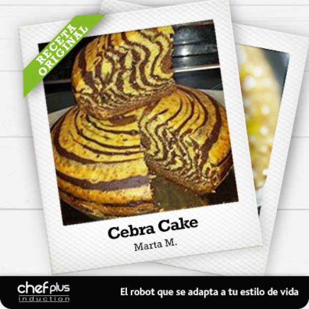 Chef Plus Induction_Cebra cake